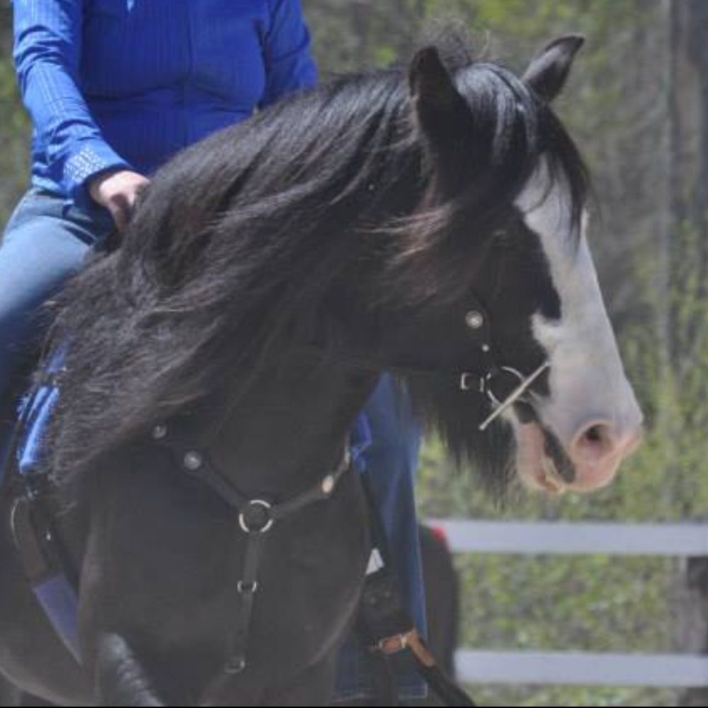 Meet your Posher, Teri